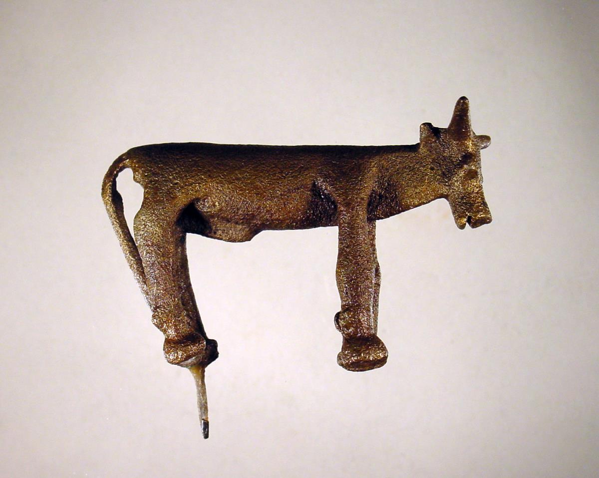 Rind (Stier)