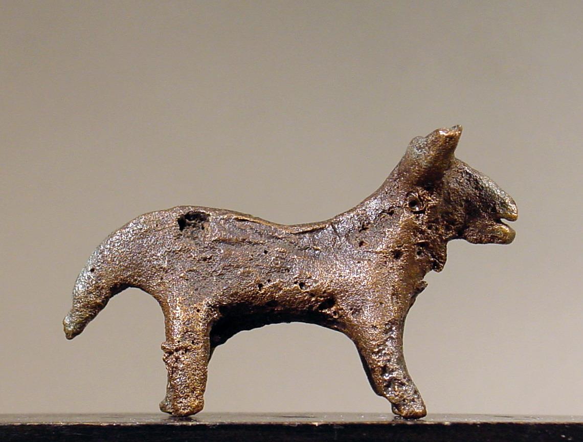 Rind (Stier)