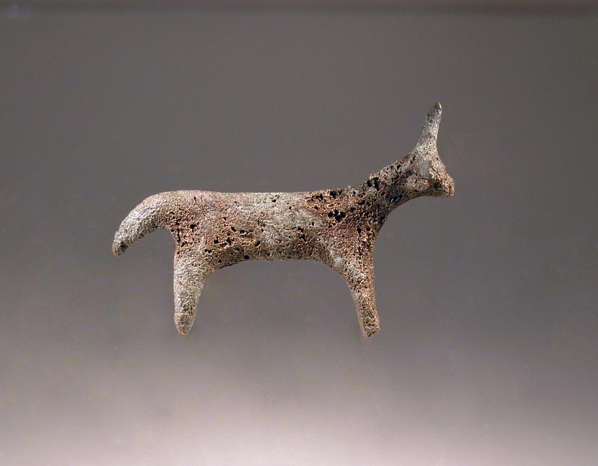 Rind (Stier)