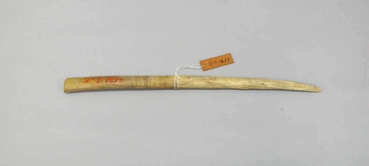 VII B 1825