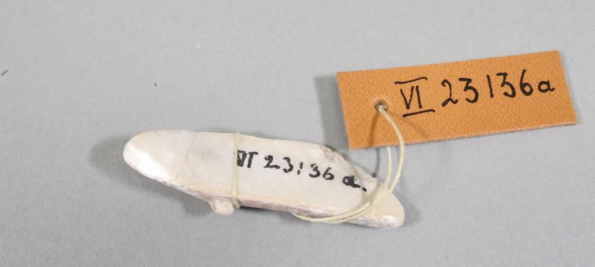 VI 23136 a