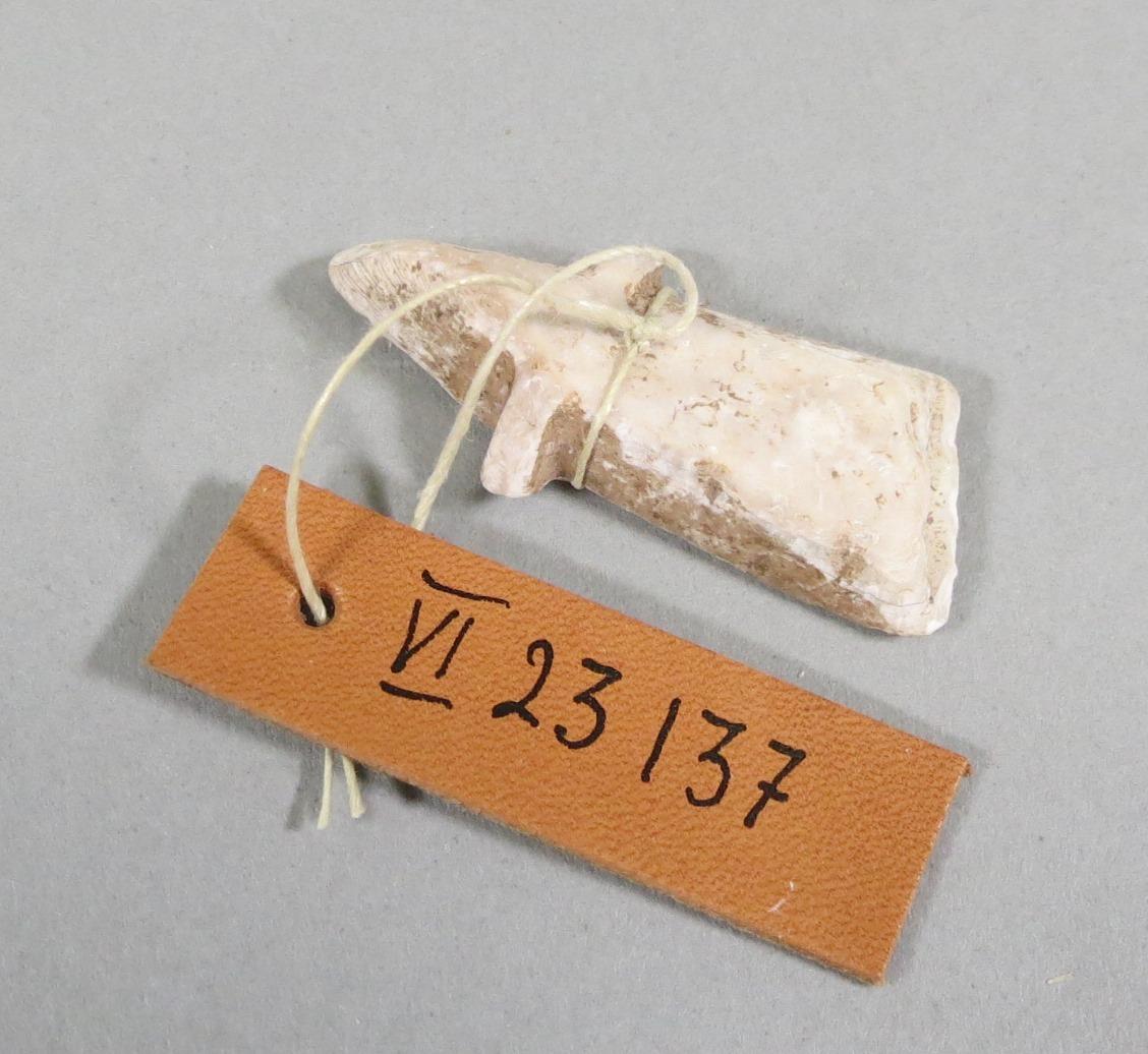 VI 23137