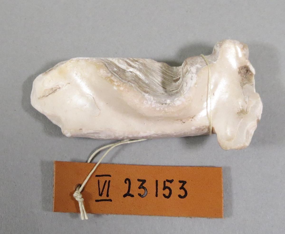 VI 23153