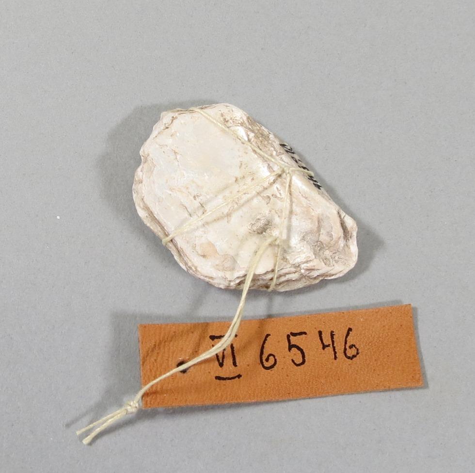 VI 6546
