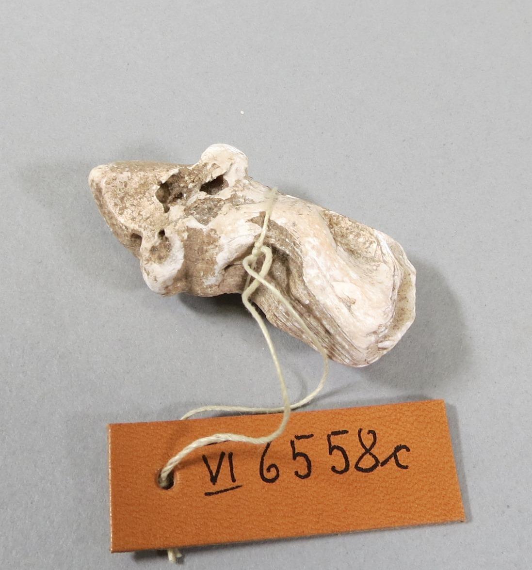 VI 6558 c