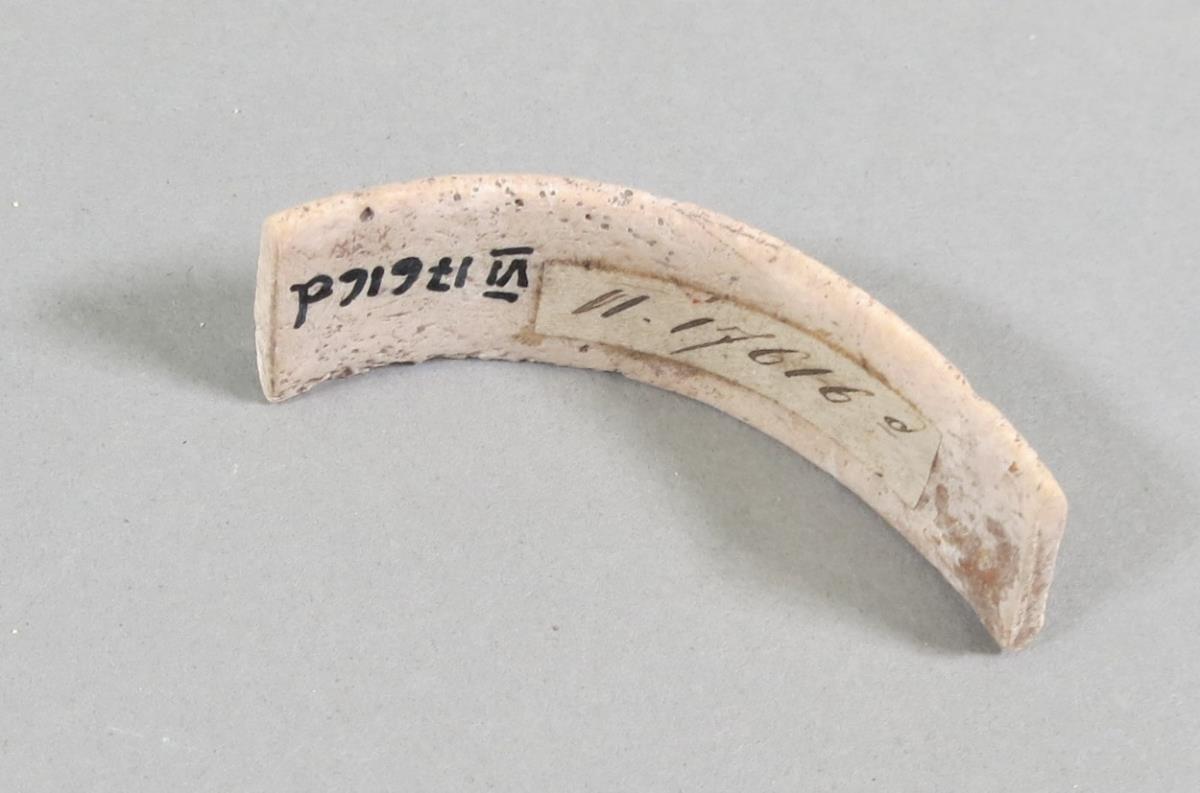 VI 17616 d