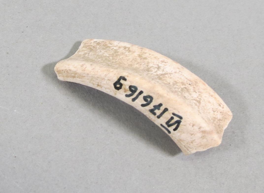 VI 17616 g