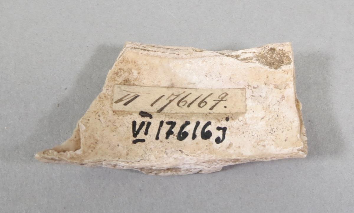 VI 17616 j