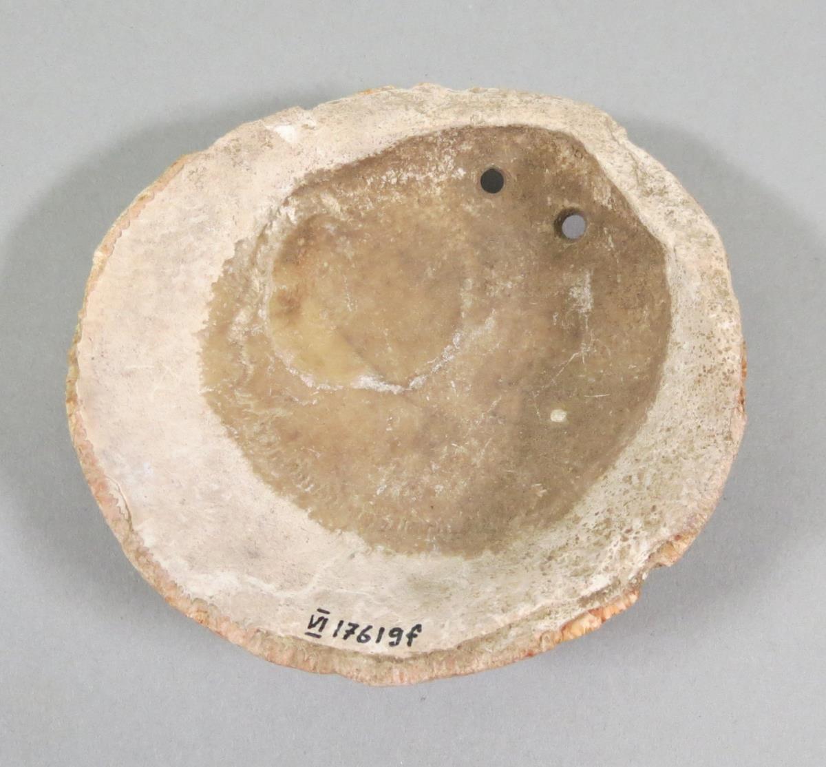 VI 17619 f