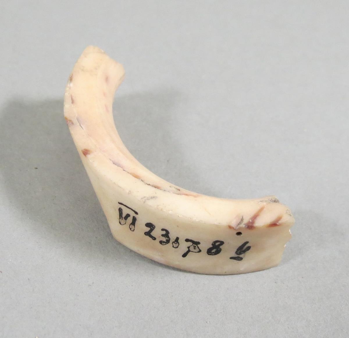 VI 23178 b