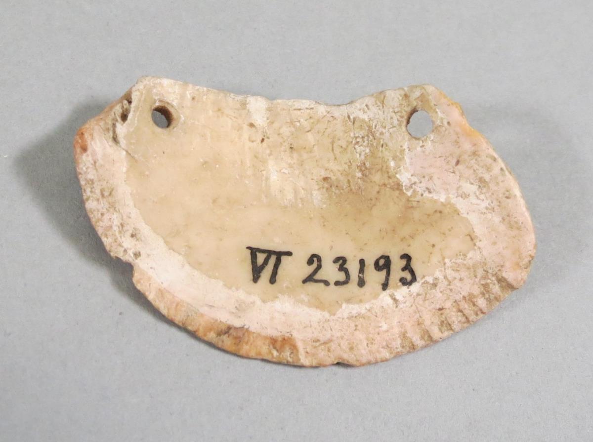 VI 23193