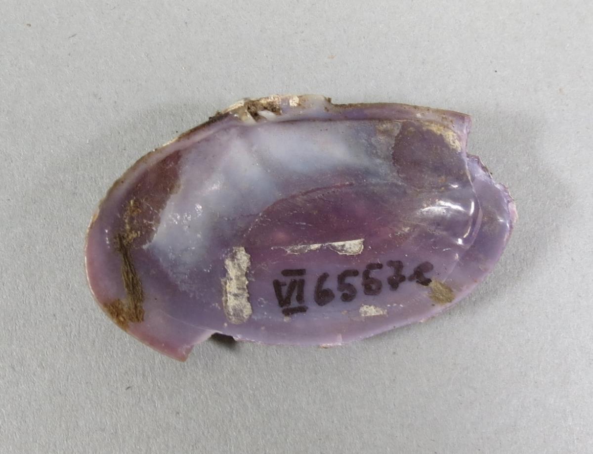 VI 6557 c