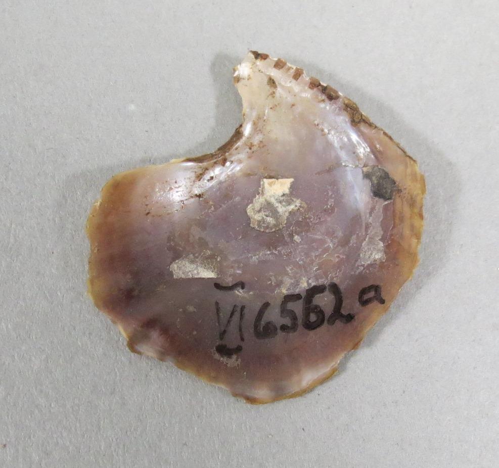 VI 6562 a