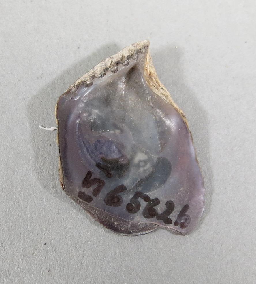 VI 6562 b