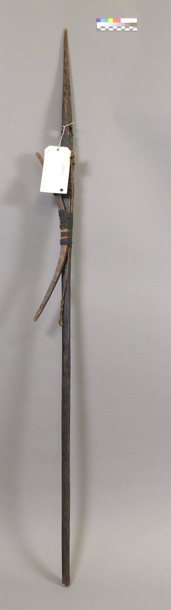 III Nls 5306