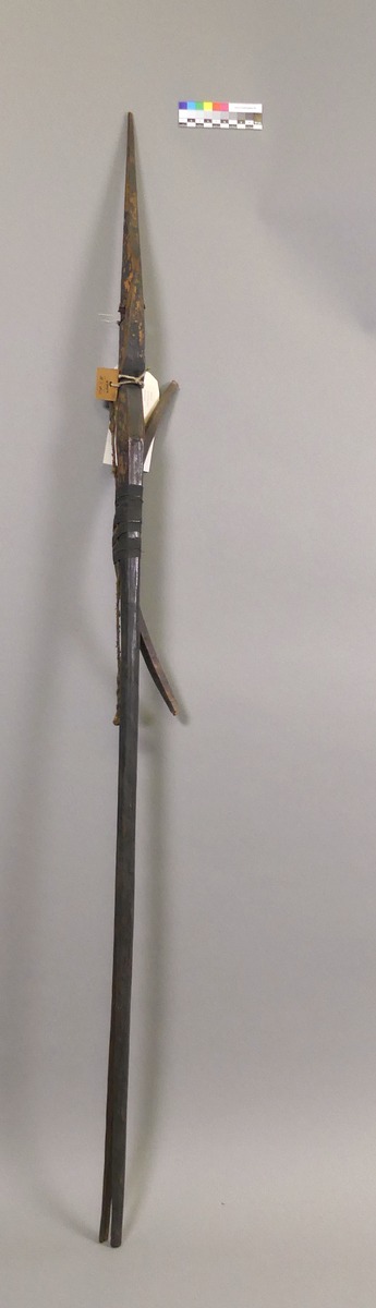 III Nls 5306