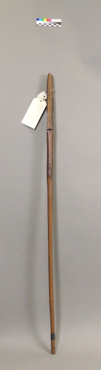 III Nls 5310