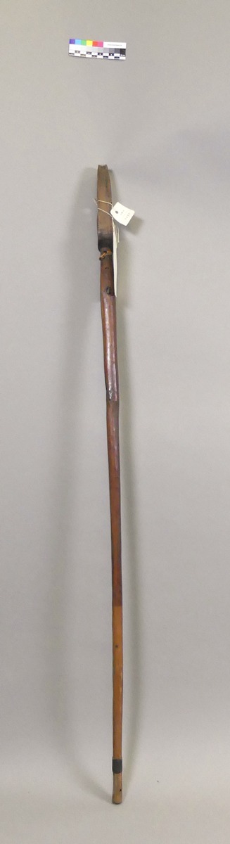 III Nls 5310