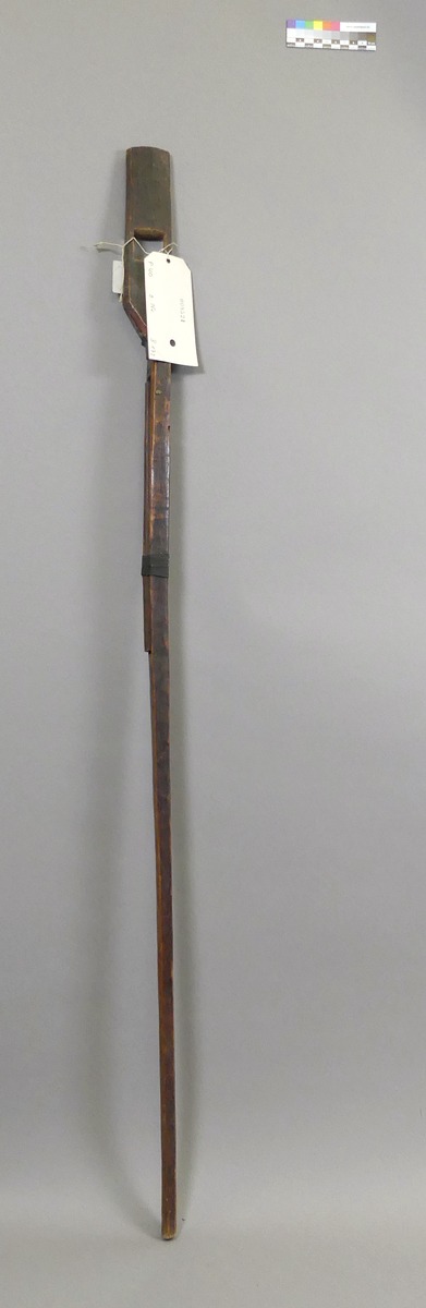 III Nls 5307