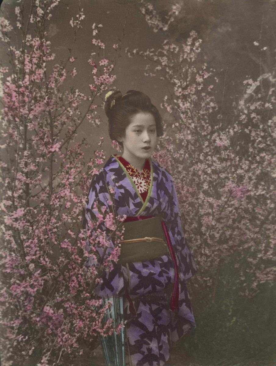 Junge Frau im Kimono zwischen Kirschbaumblütenen