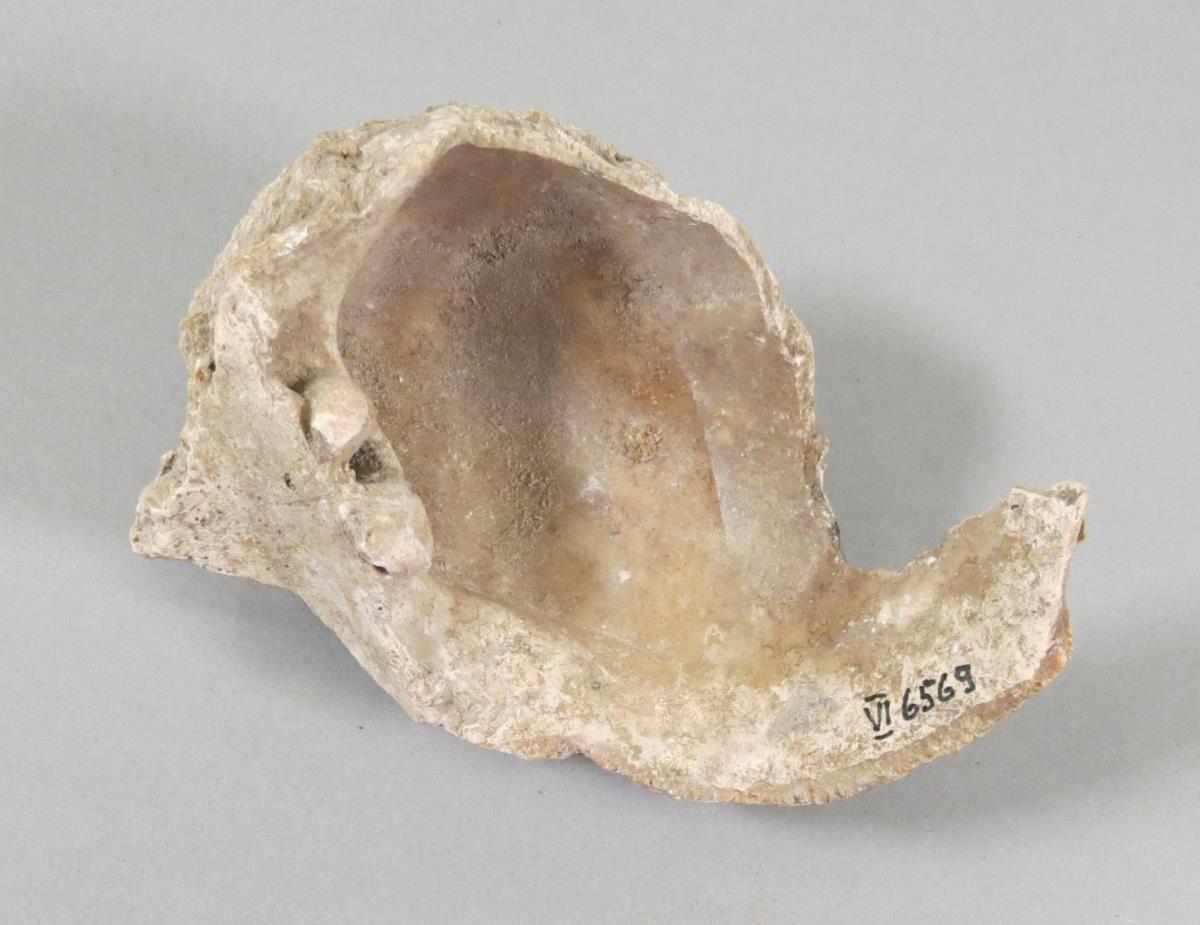 VI 6569