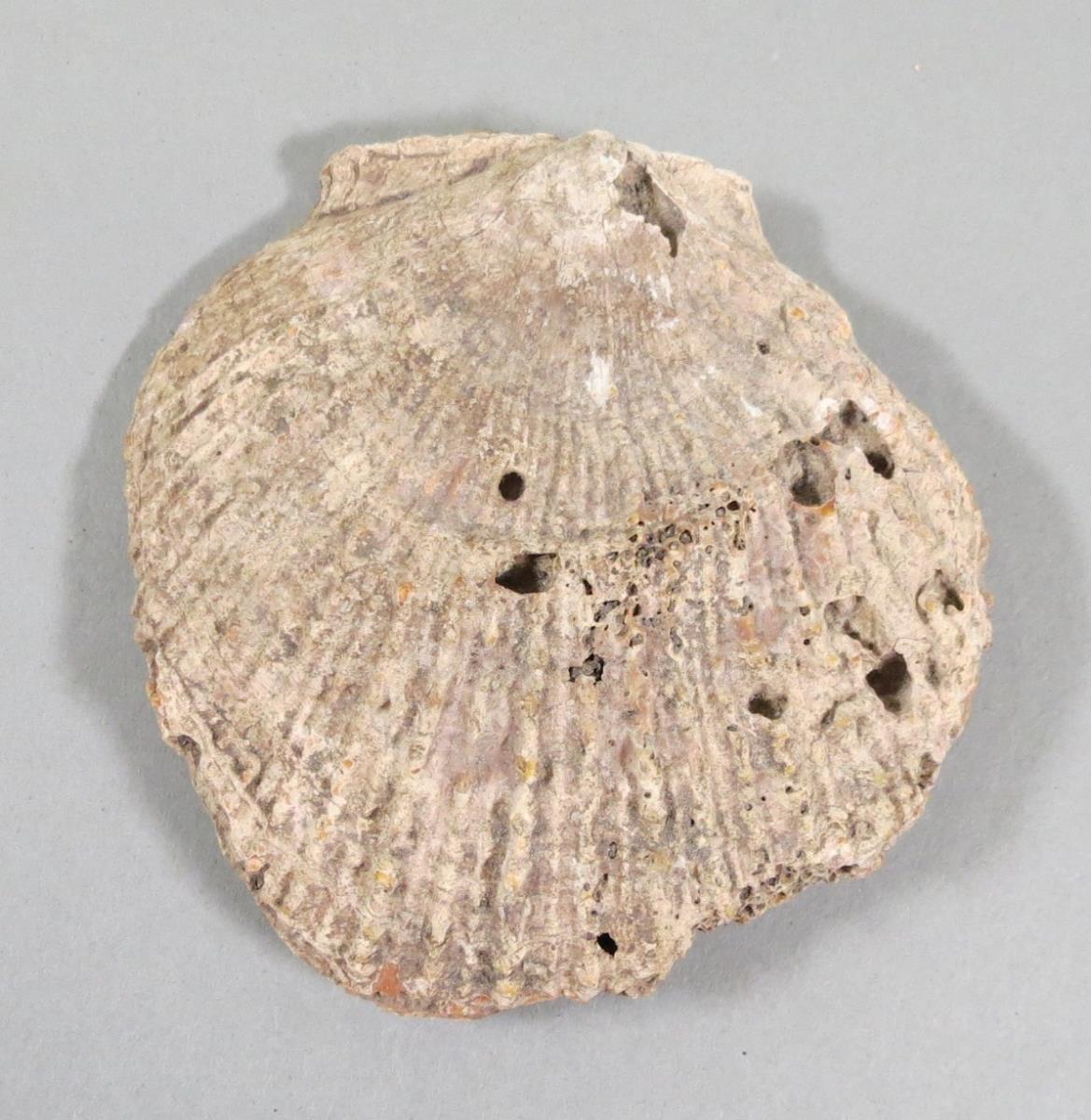 VI 6571