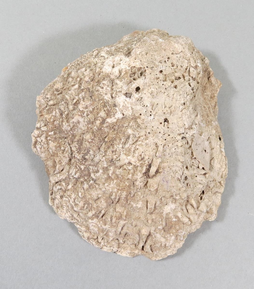 VI 6572
