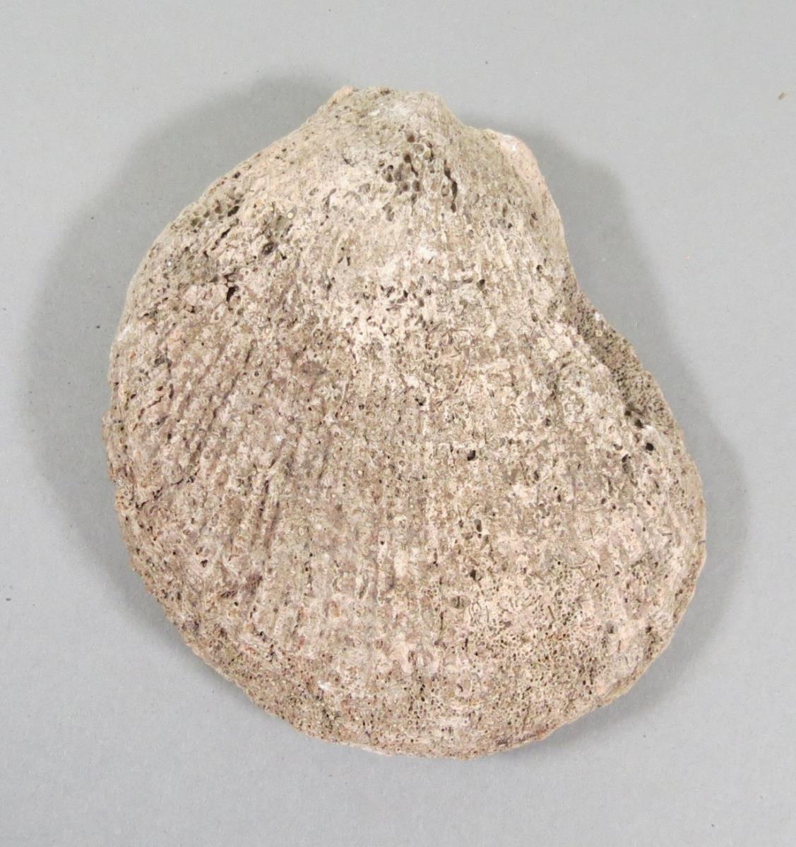 VI 6574