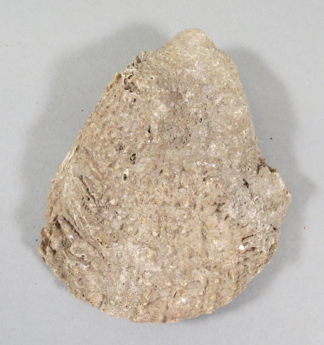 VI 6575