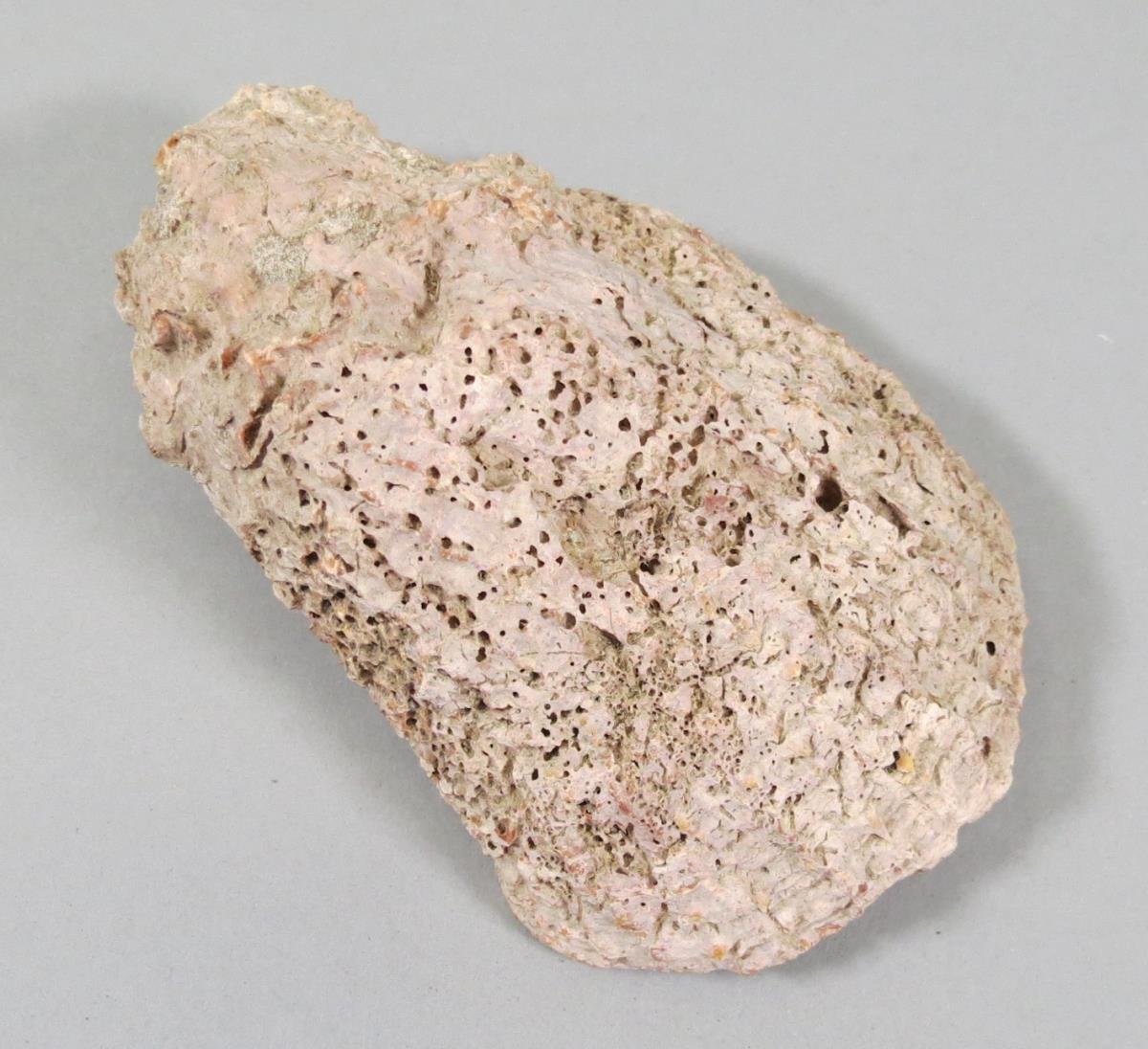 VI 6577