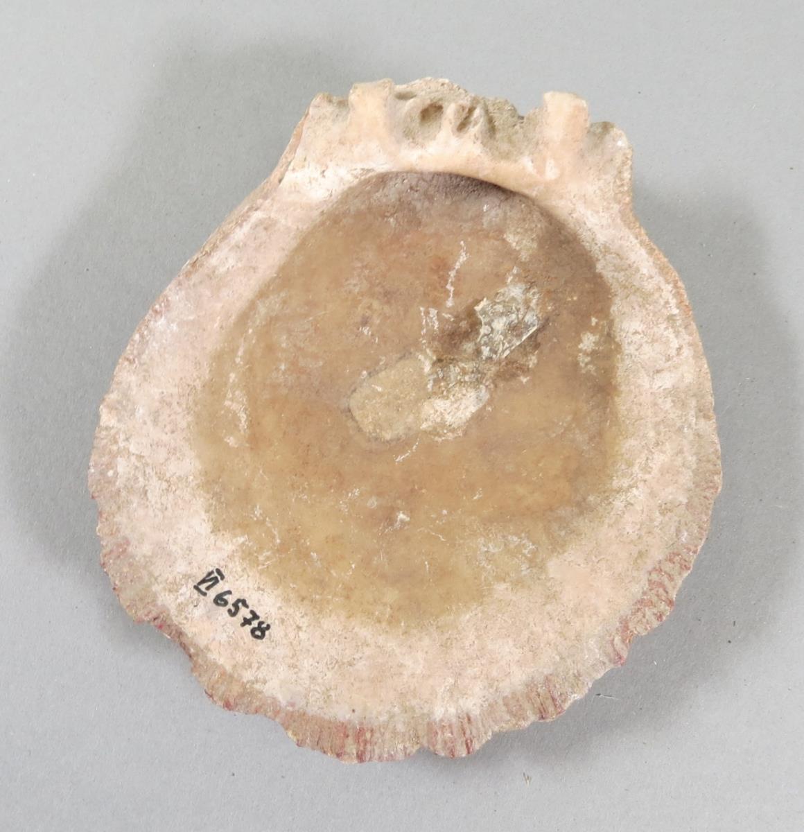 VI 6578