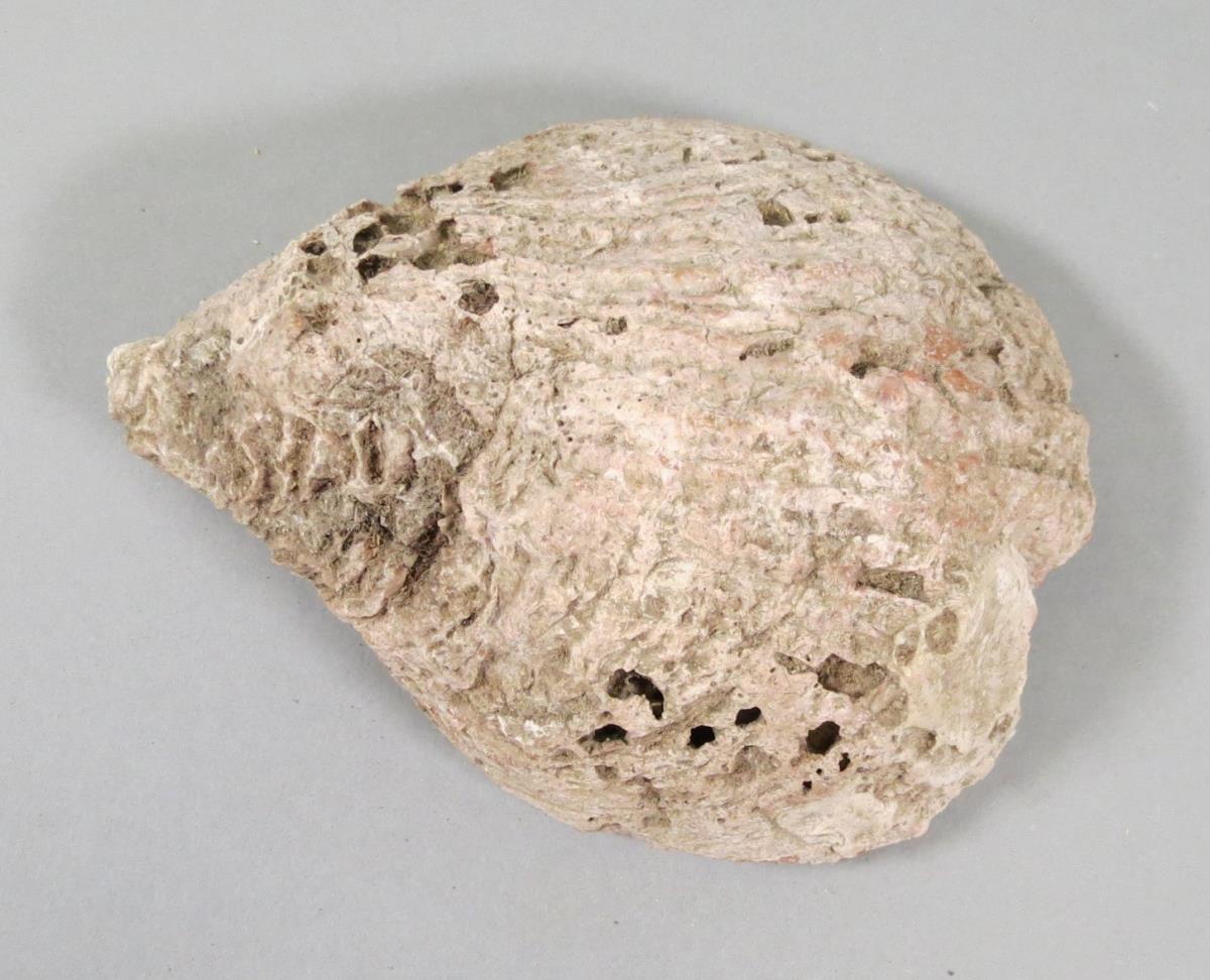 VI 6583