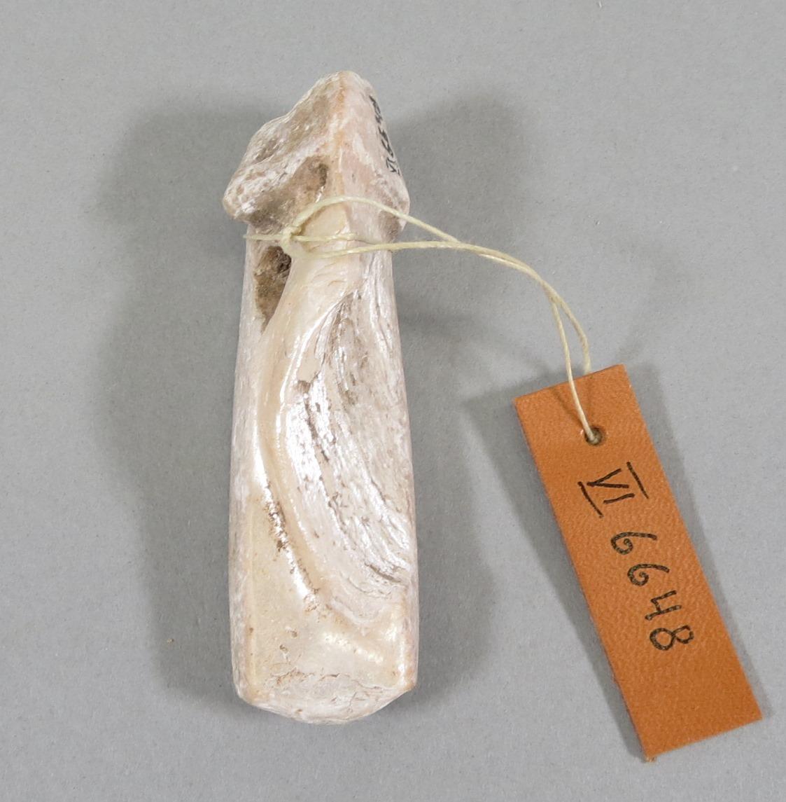 VI 6648