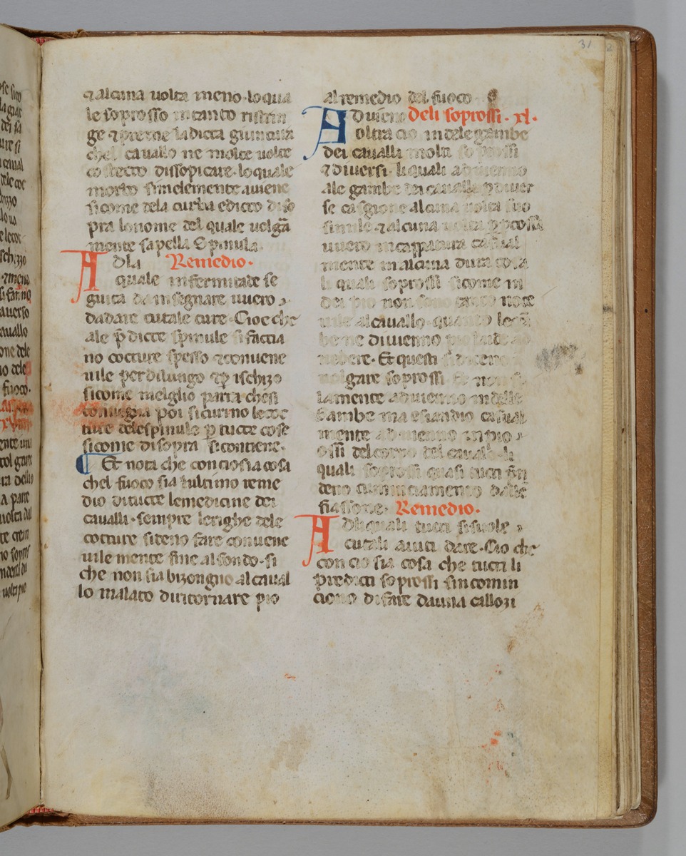 Giordano Rosso, Libro delle Mariscalcie dei cavalli.