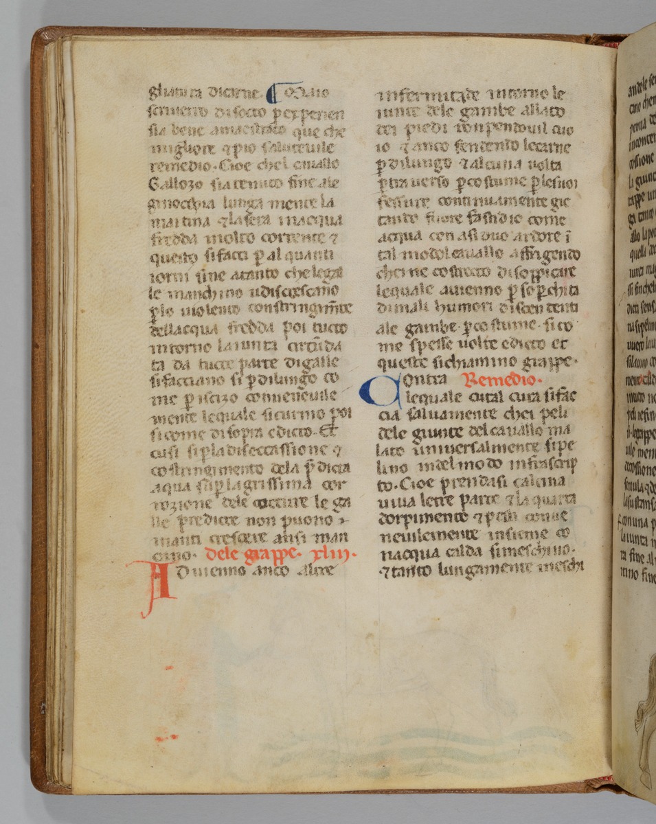 Giordano Rosso, Libro delle Mariscalcie dei cavalli.