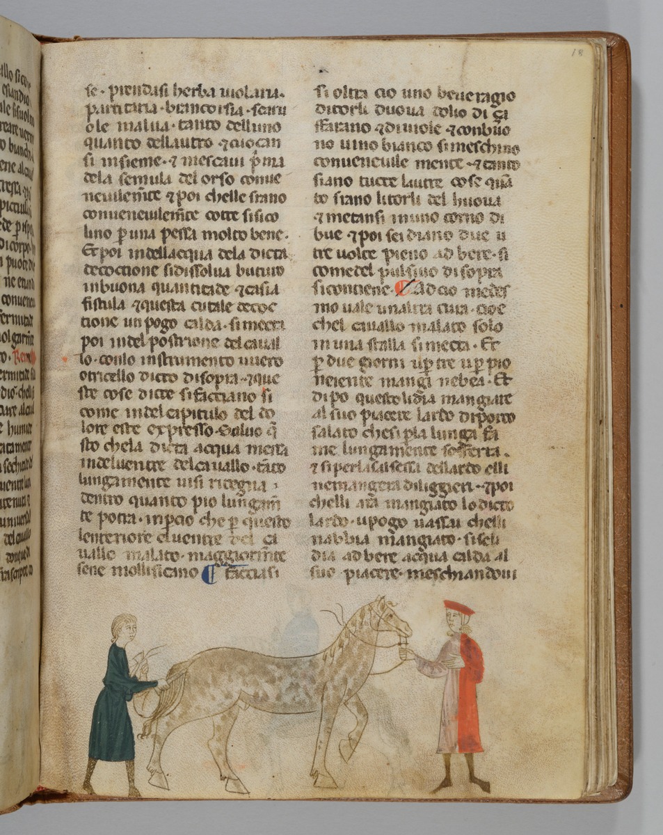 Giordano Rosso, Libro delle Mariscalcie dei cavalli. Klistierung eines Pferdes
