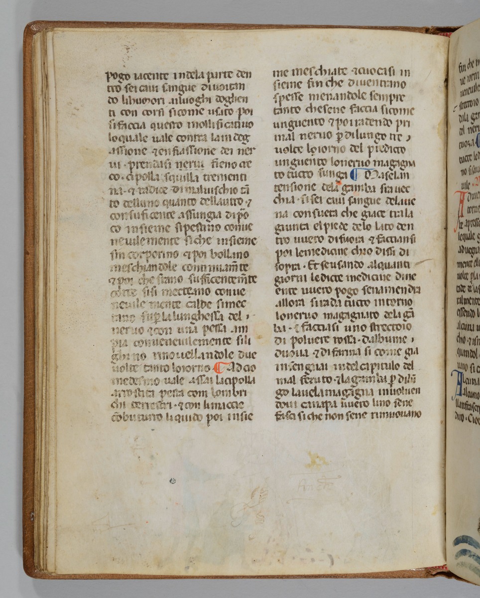 Giordano Rosso, Libro delle Mariscalcie dei cavalli.