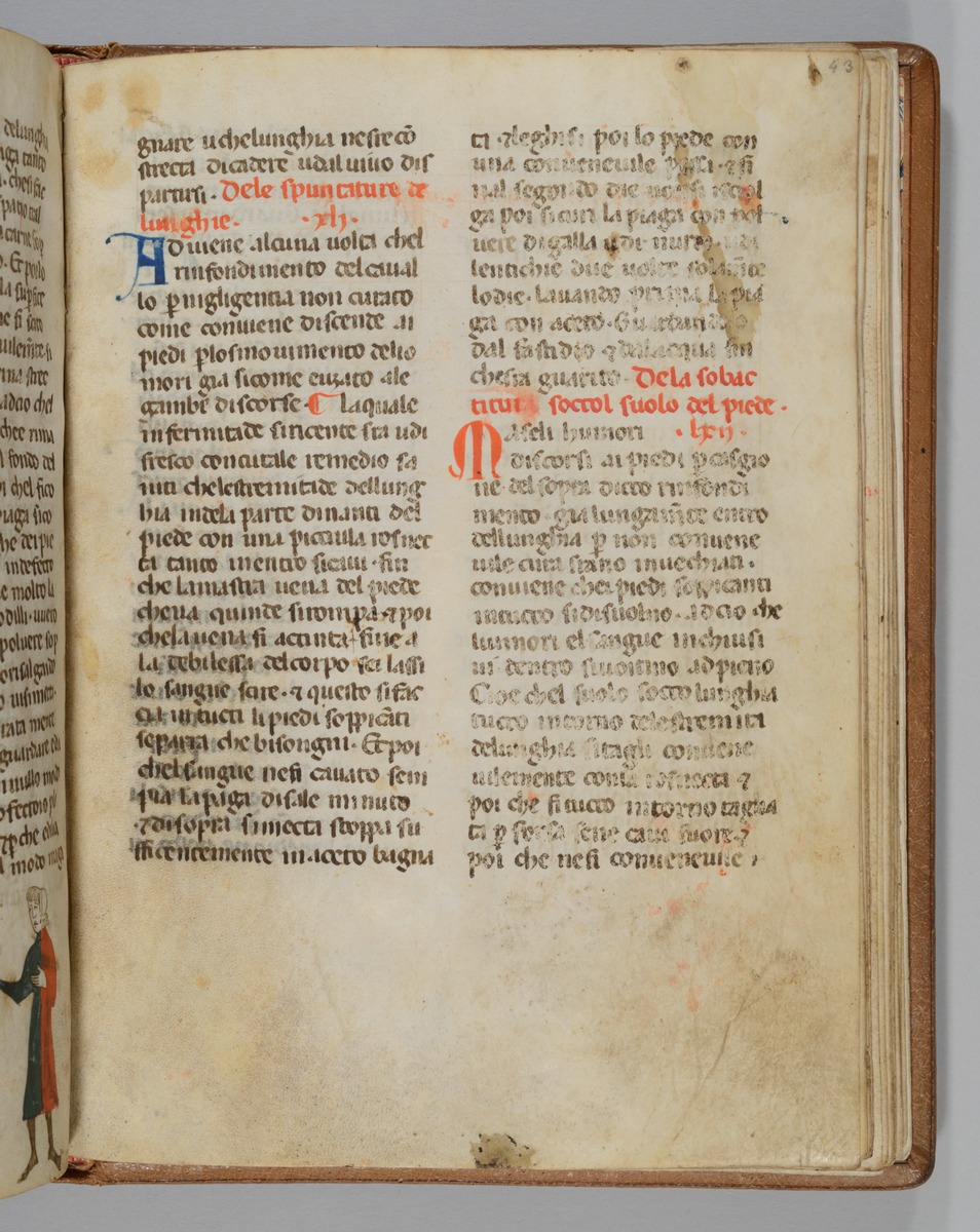 Giordano Rosso, Libro delle Mariscalcie dei cavalli.