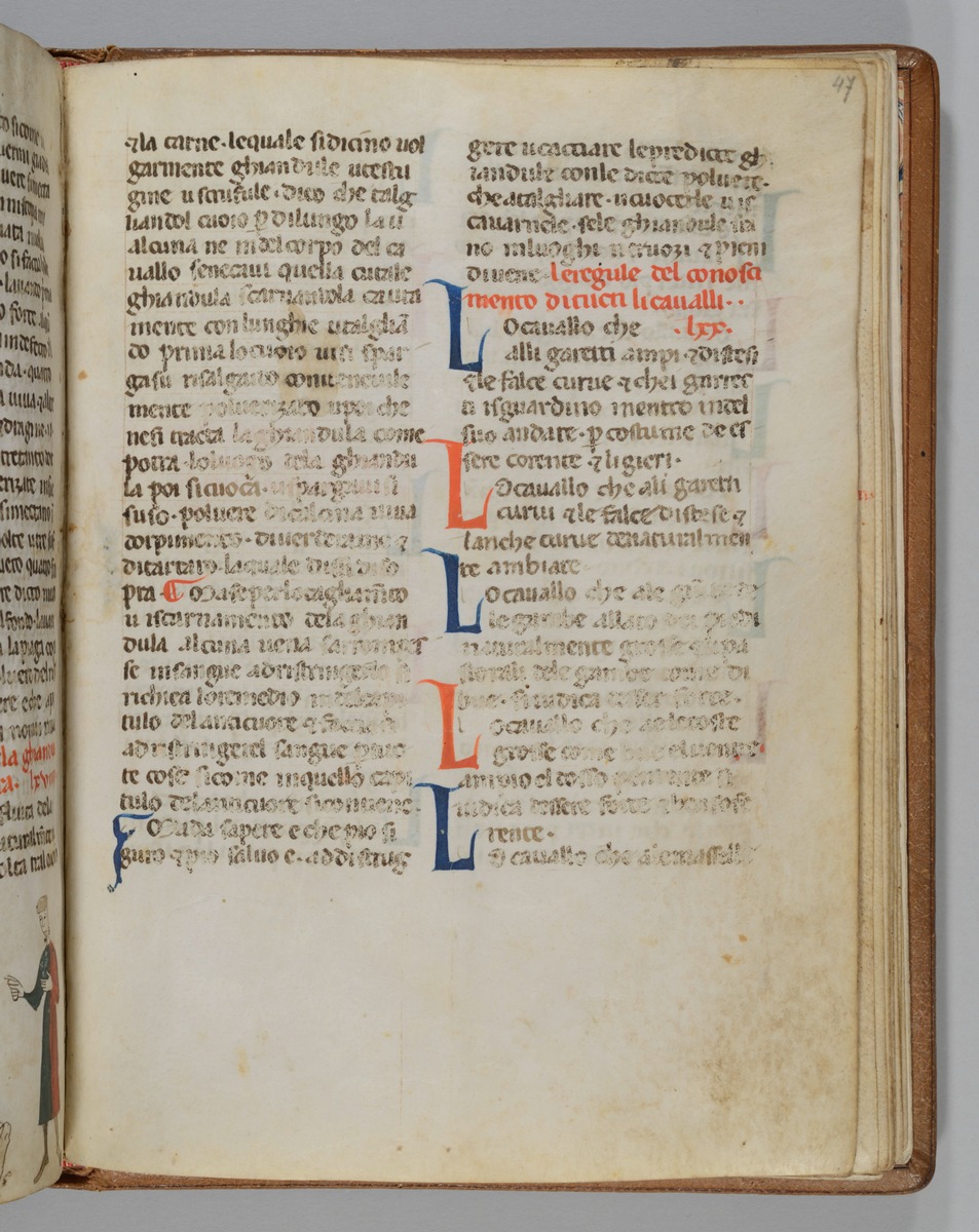 Giordano Rosso, Libro delle Mariscalcie dei cavalli.