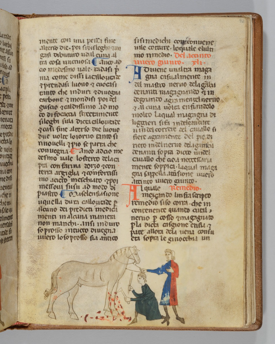 Giordano Rosso, Libro delle Mariscalcie dei cavalli. Aderlass an den Vorderbeinen