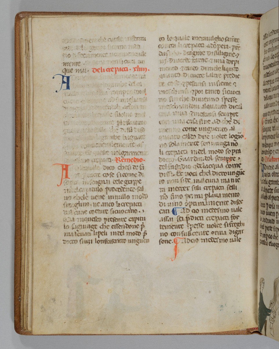 Giordano Rosso, Libro delle Mariscalcie dei cavalli.