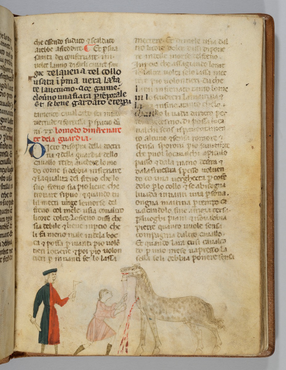 Giordano Rosso, Libro delle Mariscalcie dei cavalli. Aderlass eines Pferdes am Hals, links der Chirurg in grünem Rock.