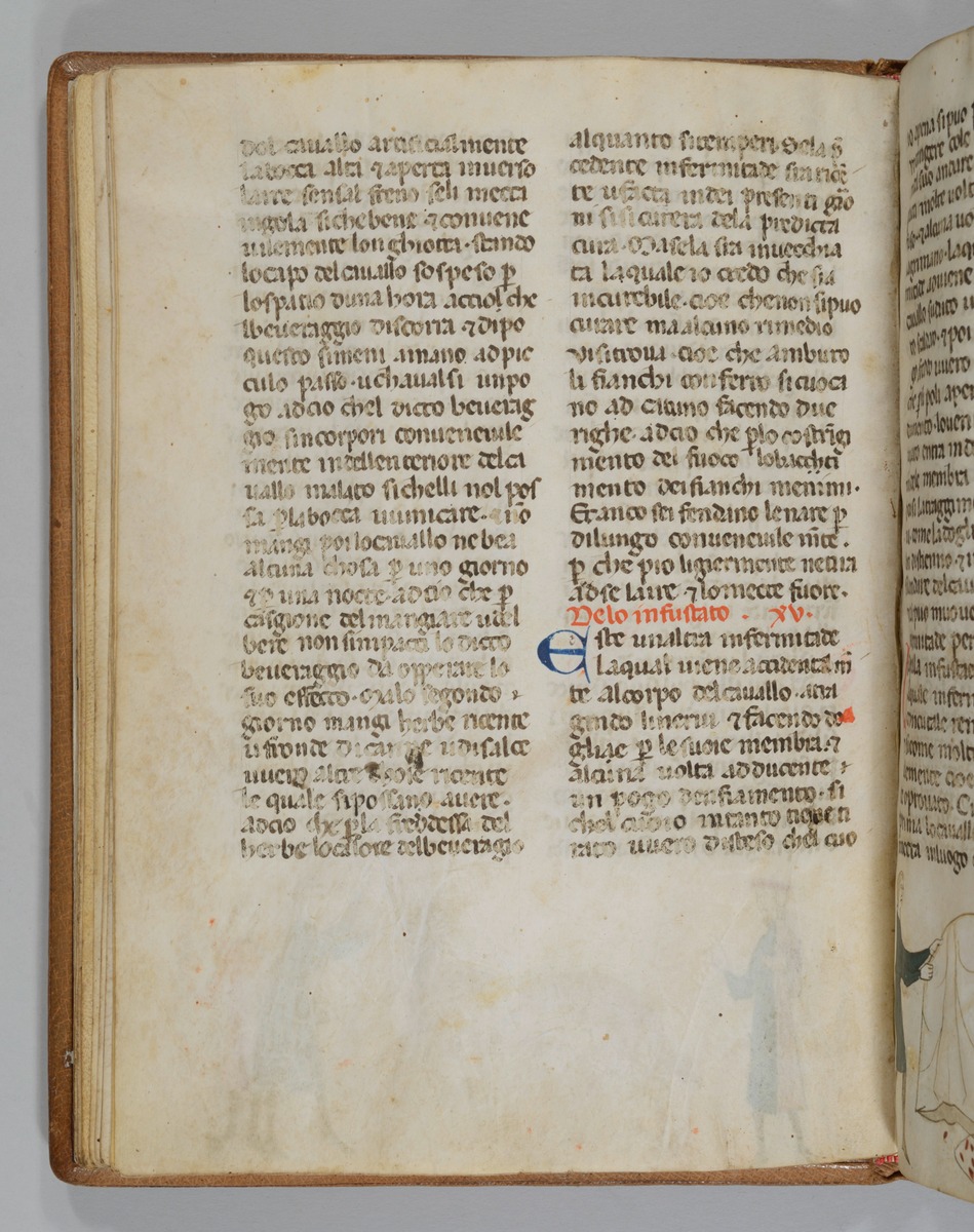 Giordano Rosso, Libro delle Mariscalcie dei cavalli.