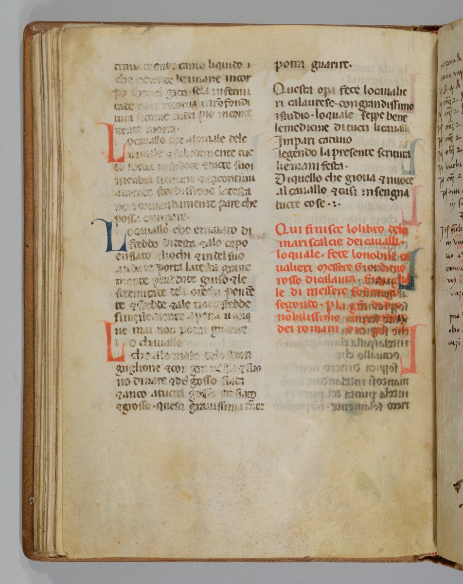 Giordano Rosso, Libro delle Mariscalcie dei cavalli.