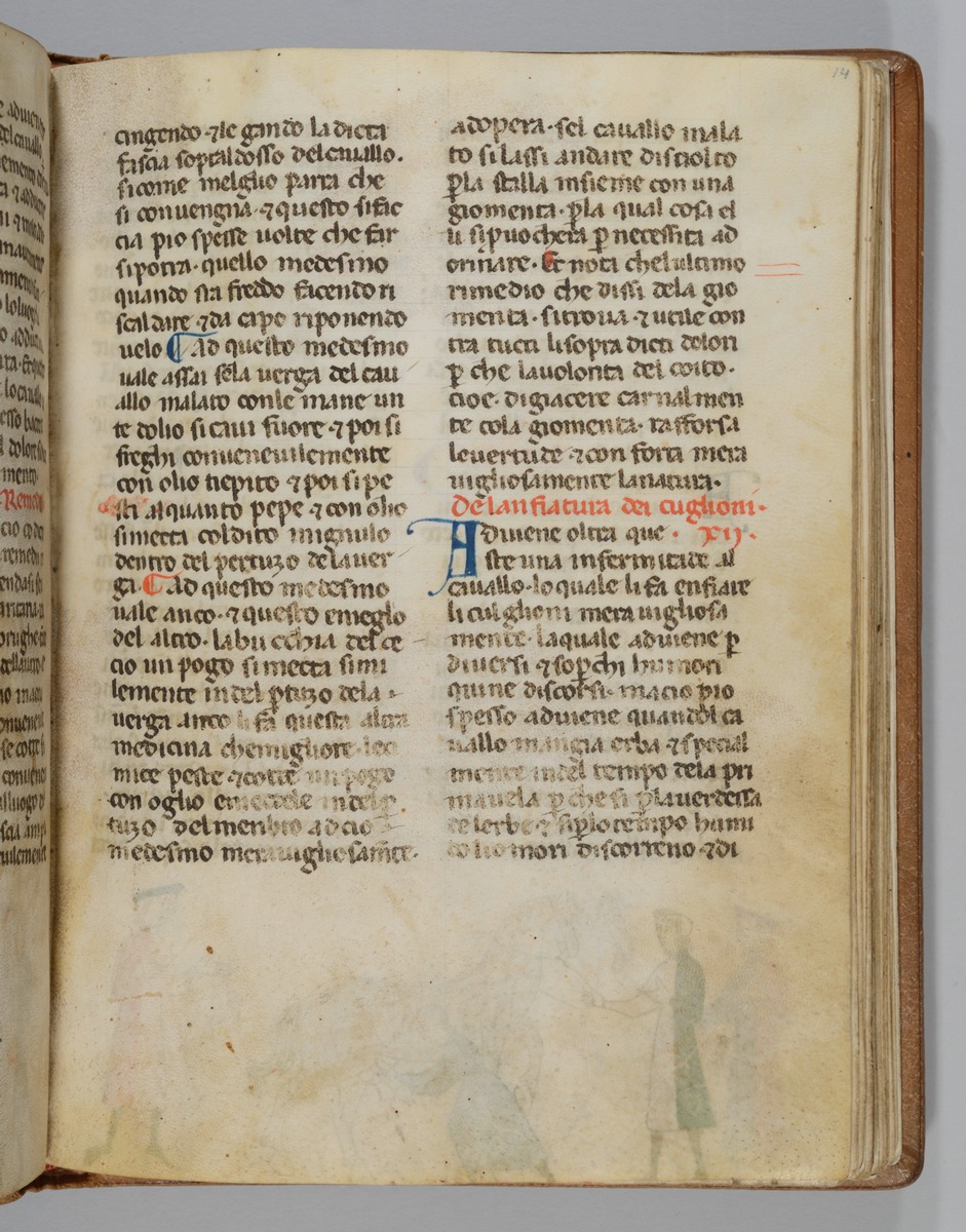 Giordano Rosso, Libro delle Mariscalcie dei cavalli.