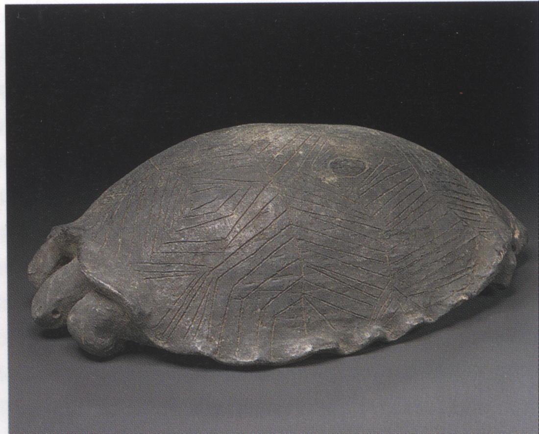 In Form einer Schildkröte