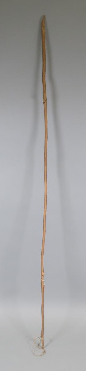 VI 24552