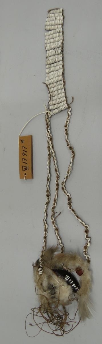 VI 17917 d