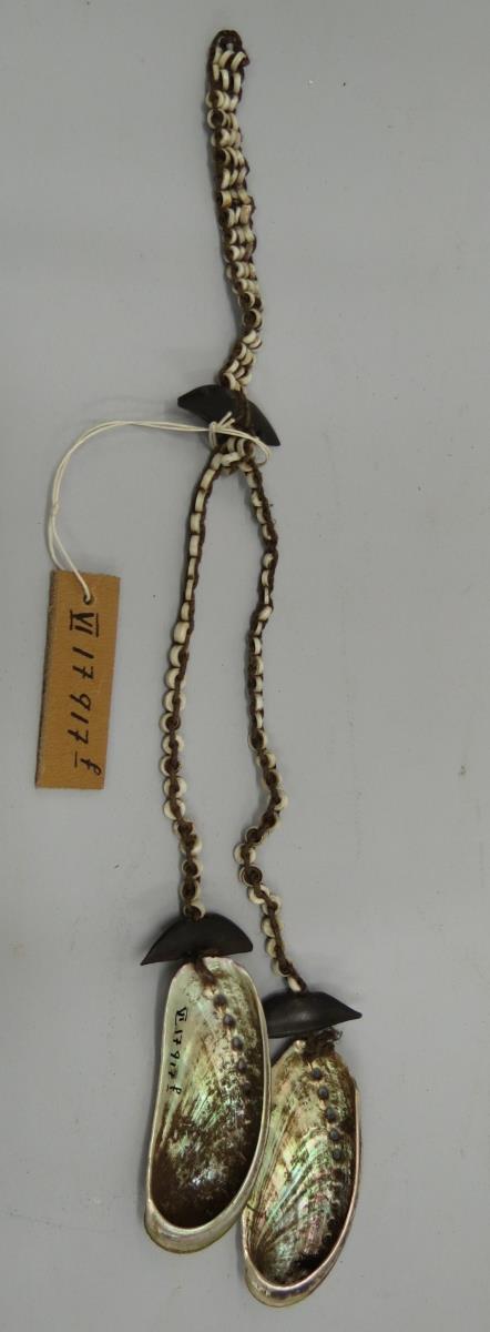 VI 17917 f