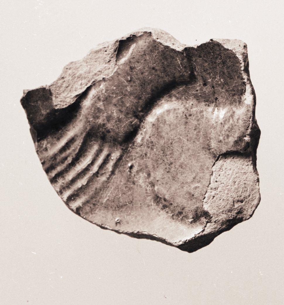 Schale oder Schüssel, Fragment (Boden)